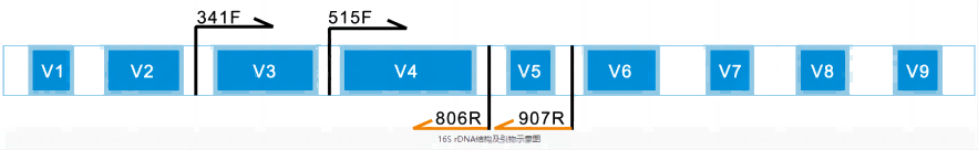 1(1).png