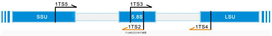 3(1).png